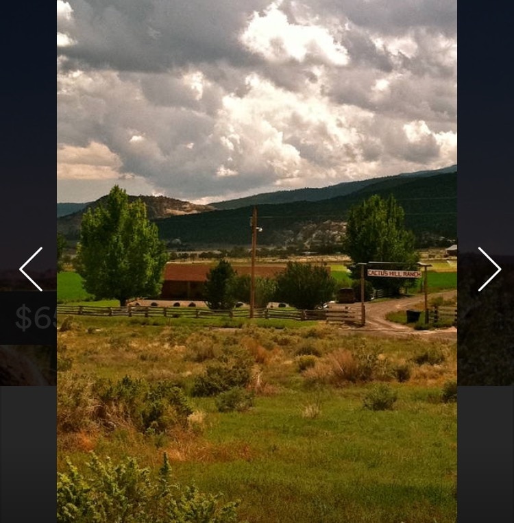 Cactus Hill Motel/Capitol Reef 3 - Hotels for Rent in Teasdale, Utah,  United States - Airbnb