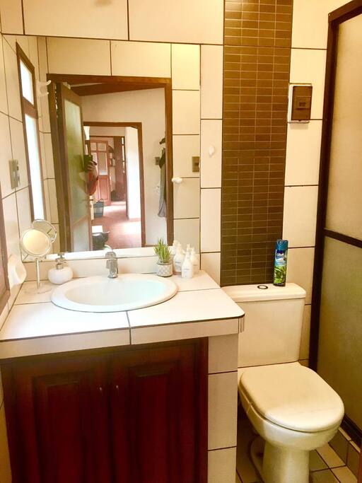 Ensuite bathroom off main bedroom