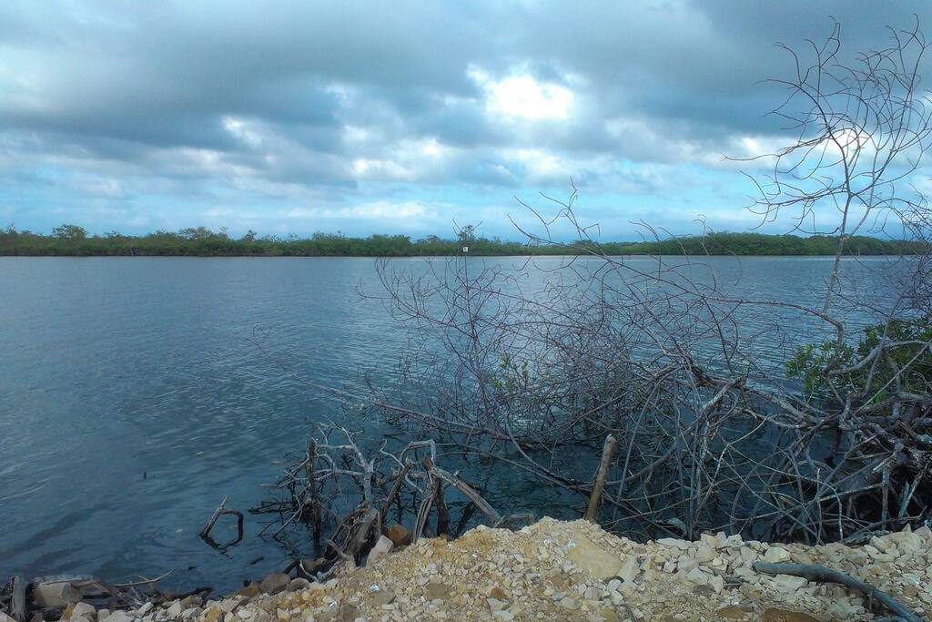Lagoon at the Back of the Property