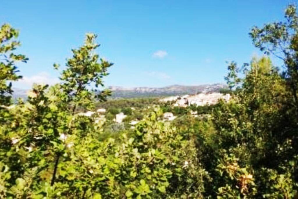 la vue sur le villa de La Gaude depuis la terrasse