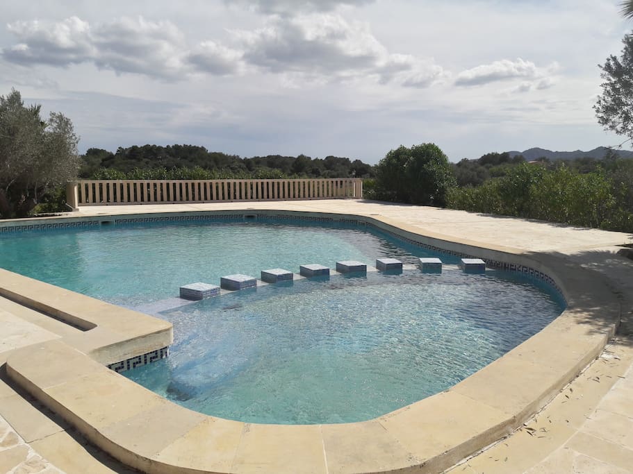 großer Pool mit Blick in den Garten.