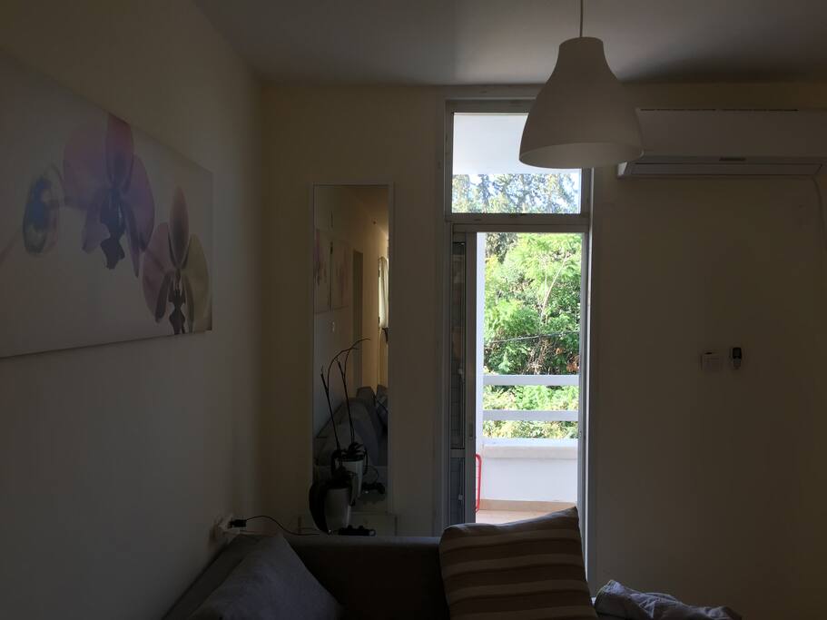 Shared living space