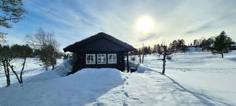 602. Cabin by fishing lake. Swimming opportunities. Dogs are ok