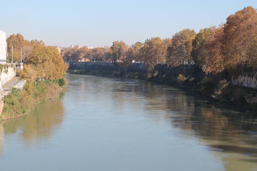 di fronte casa una splendida vista direttamente sul Tevere