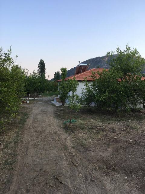 Село Мугла Кьойцег Далян Чандир