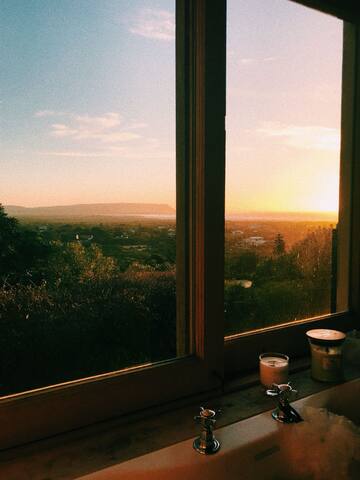 Views, trees, peace gallery image 5