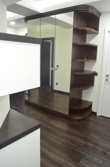 The hall with a big closet and full length mirrors