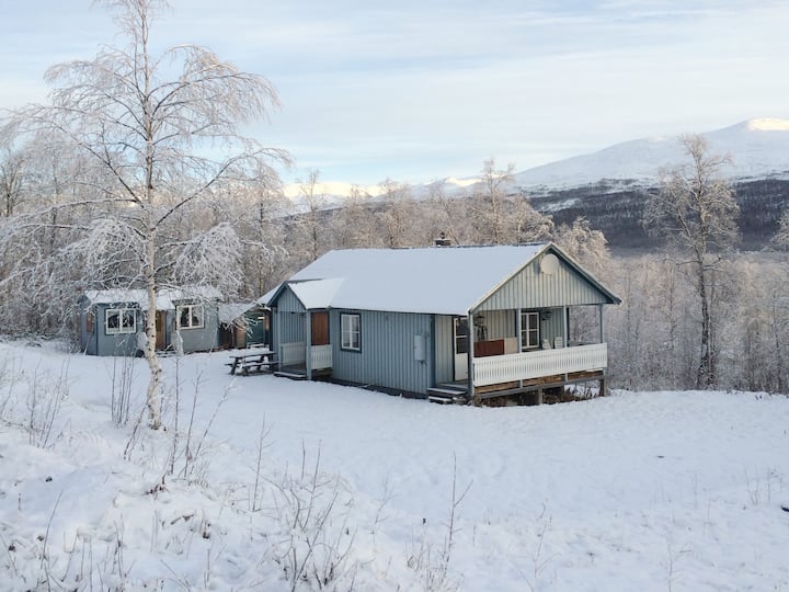 Cozy cabin in the mountains