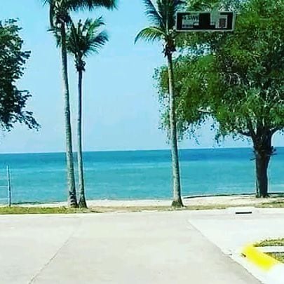 The image captures a serene beach view with clear blue waters gently lapping at the shore. Tall palm trees frame the scene, providing a tropical ambiance. A smooth pathway leads towards the beachfront, suggesting ease of access to the sandy area.