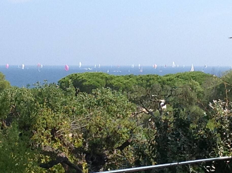 Sea view from the terrace and living room