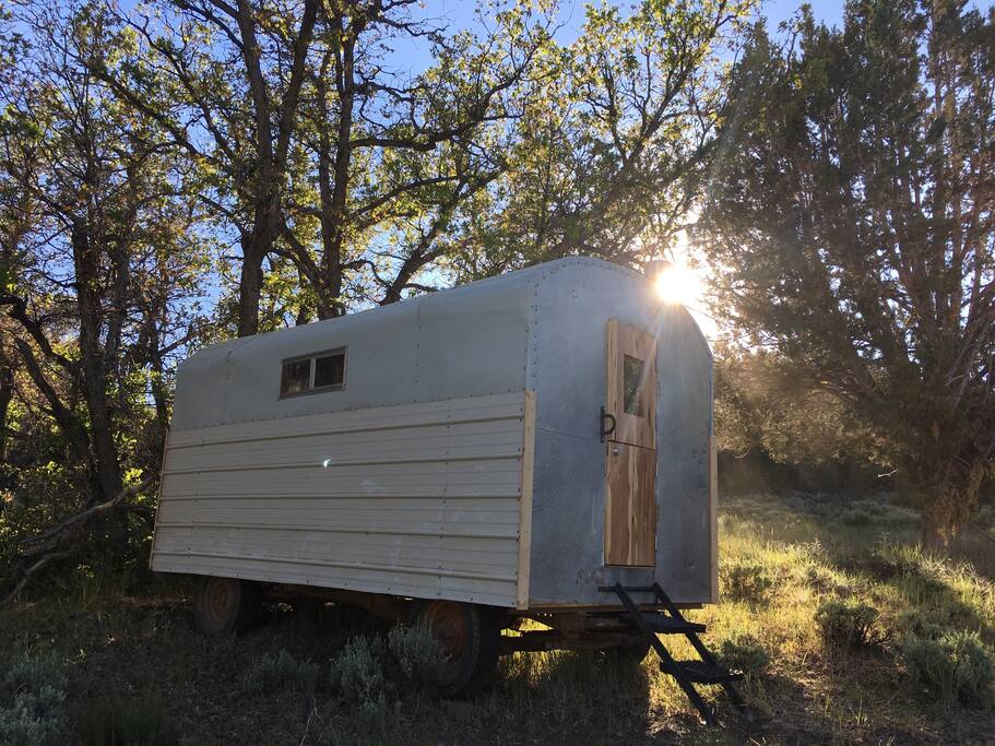 4 guests can sleep in this sheep camp.
