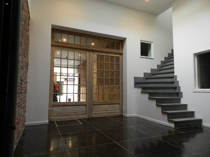 spacious apartment in a renovated mansion