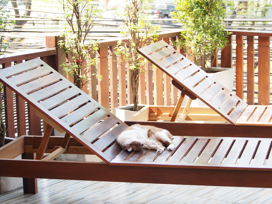 Two wooden loungers are positioned on a sunlit deck, surrounded by potted plants. A relaxing atmosphere is created as a pet lies comfortably on one of the loungers, enjoying the warmth of the sun.