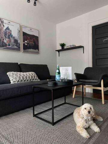 Townhome w Parking- Yorkville Area gallery image 2