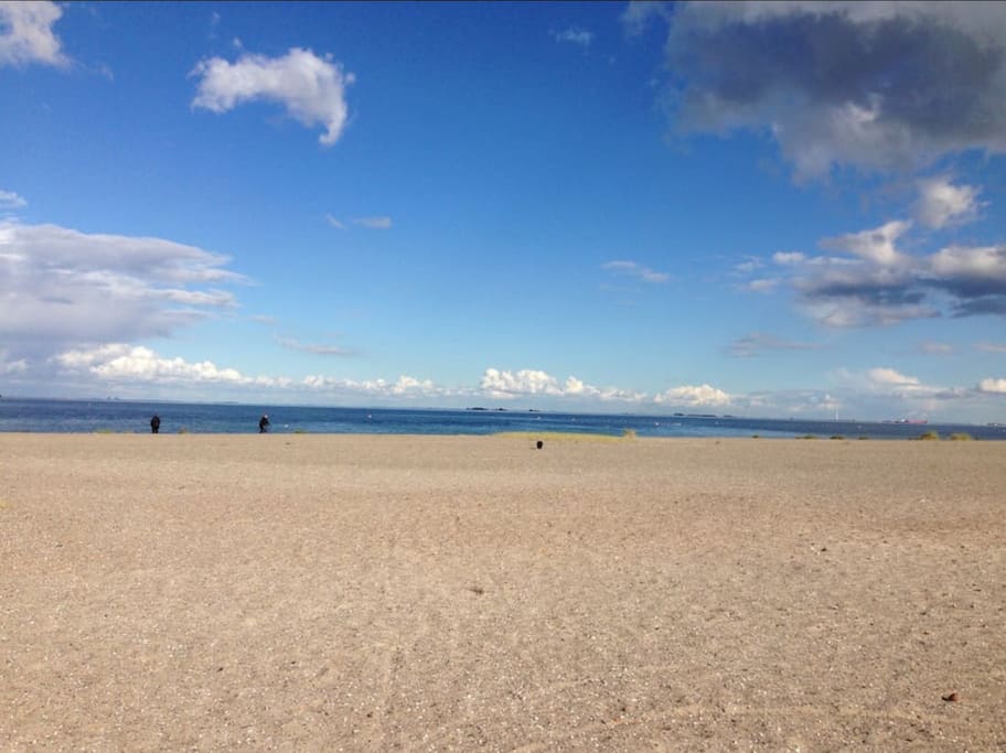 The beach
