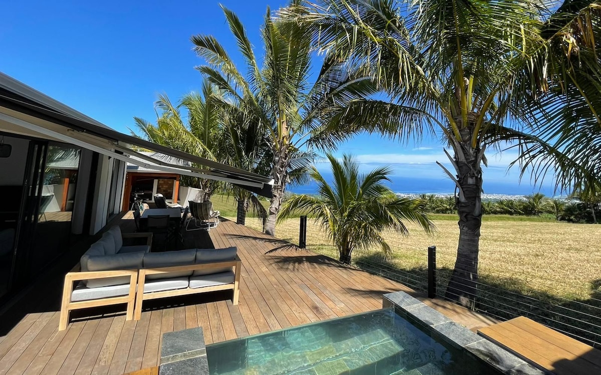A spacious wooden deck is bordered by palm trees, providing a serene outdoor setting. A comfortable seating area is present, along with a natural stone jacuzzi, inviting relaxation. In the background, a panoramic view of the ocean and grassy fields is visible under a clear blue sky.