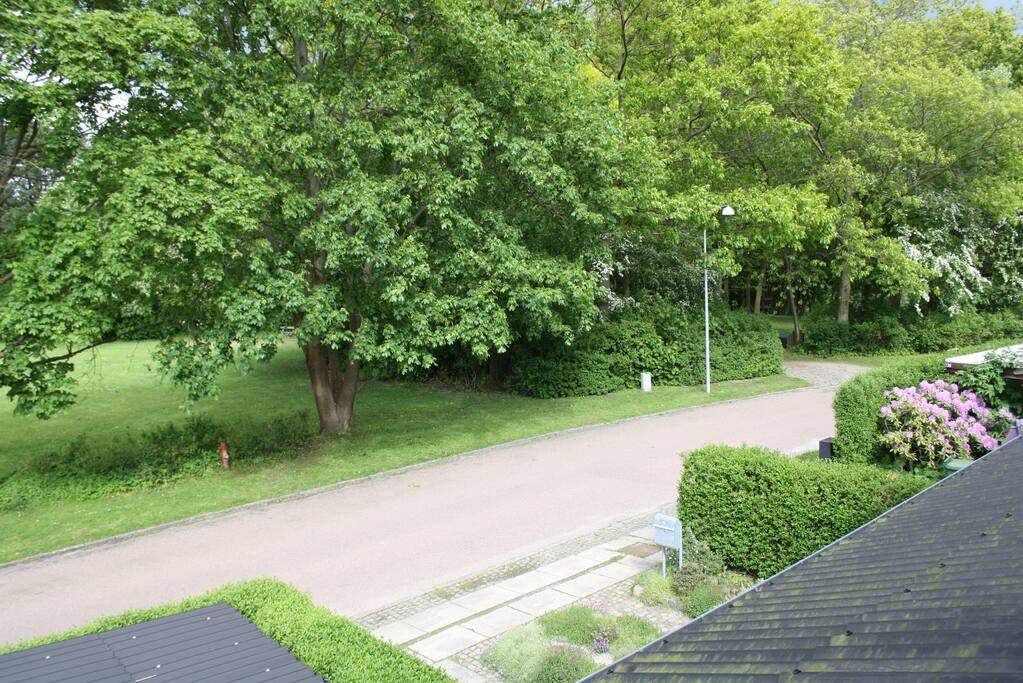 View from 1. floor