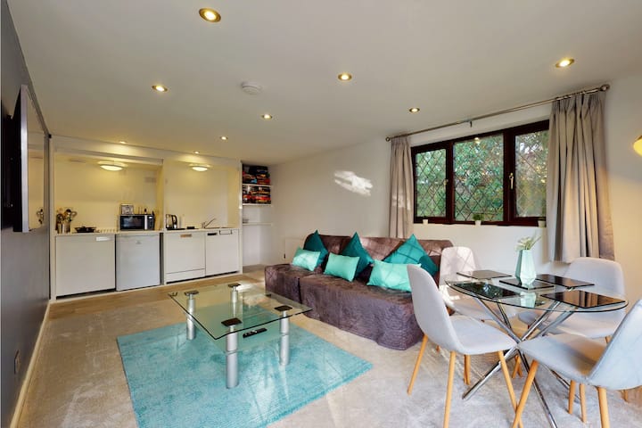 Studio living space with sofa bed