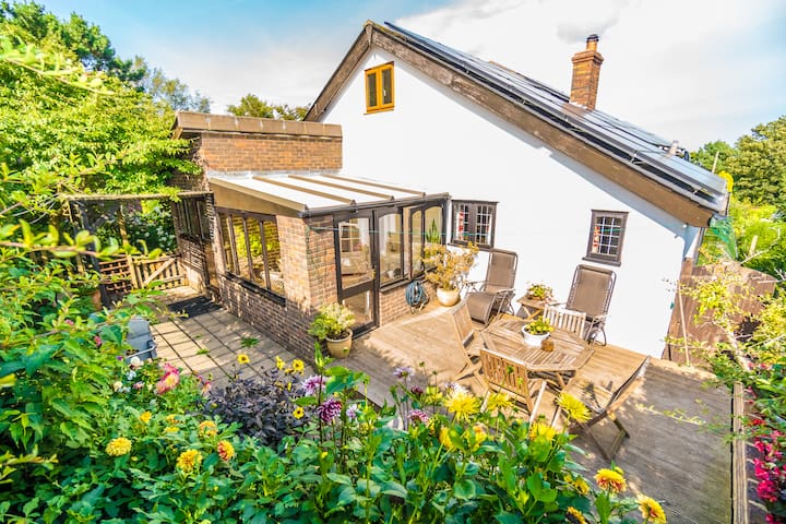 Badgers Den Covehurst Bay Holiday Cottage Cottages For Rent In