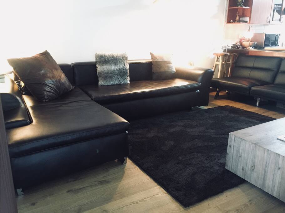 Lounge, 1 sleeper couch opens into queen bed (brown) , Black sleeper couch opens up into double bed