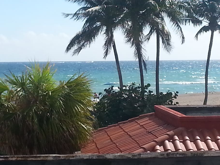 view from the pool deck