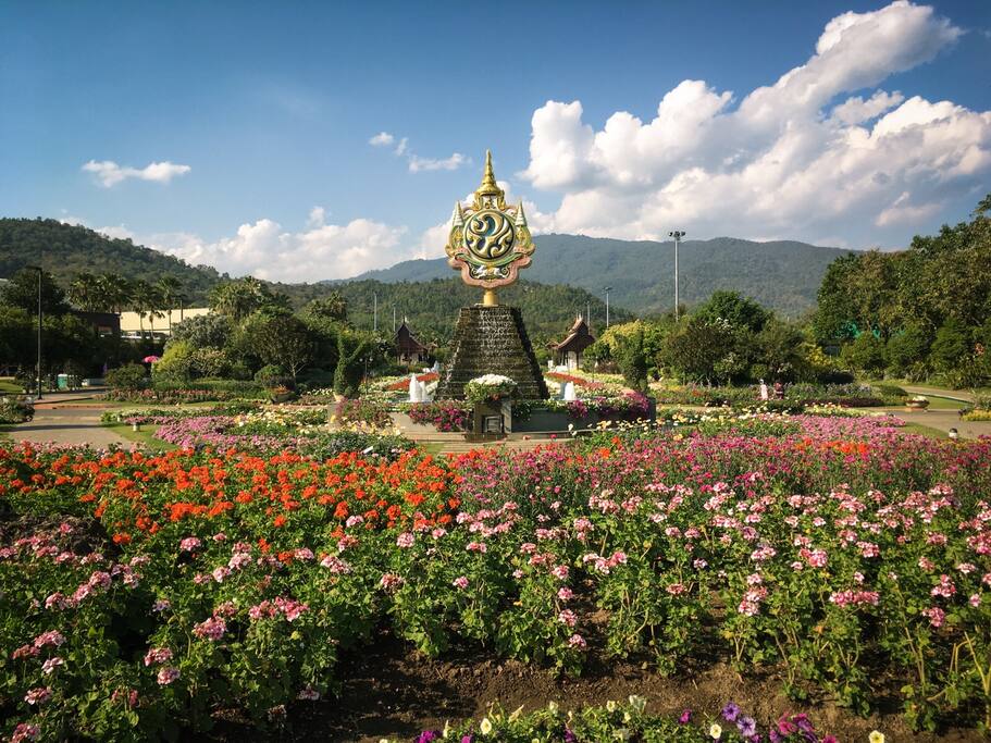 大冬天还能繁花盛开 只在泰王的后花园 清迈拉查帕皇家花园 清迈旅游攻略 尽在airbnb爱彼迎 大冬天还能繁花盛开 只在泰王的后花园 清迈拉查帕皇家花园 清迈旅游攻略 尽在airbnb爱彼迎