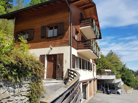 Martigny region - Nice apartment with terrasse
