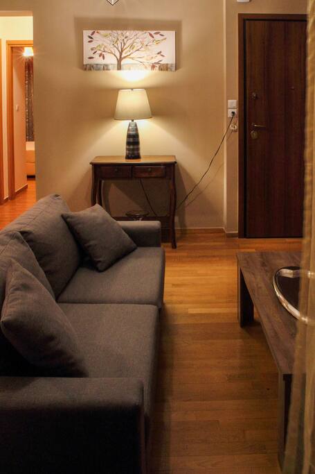 Beatiful sofa and wooden floors. Cozy lighting and decoration