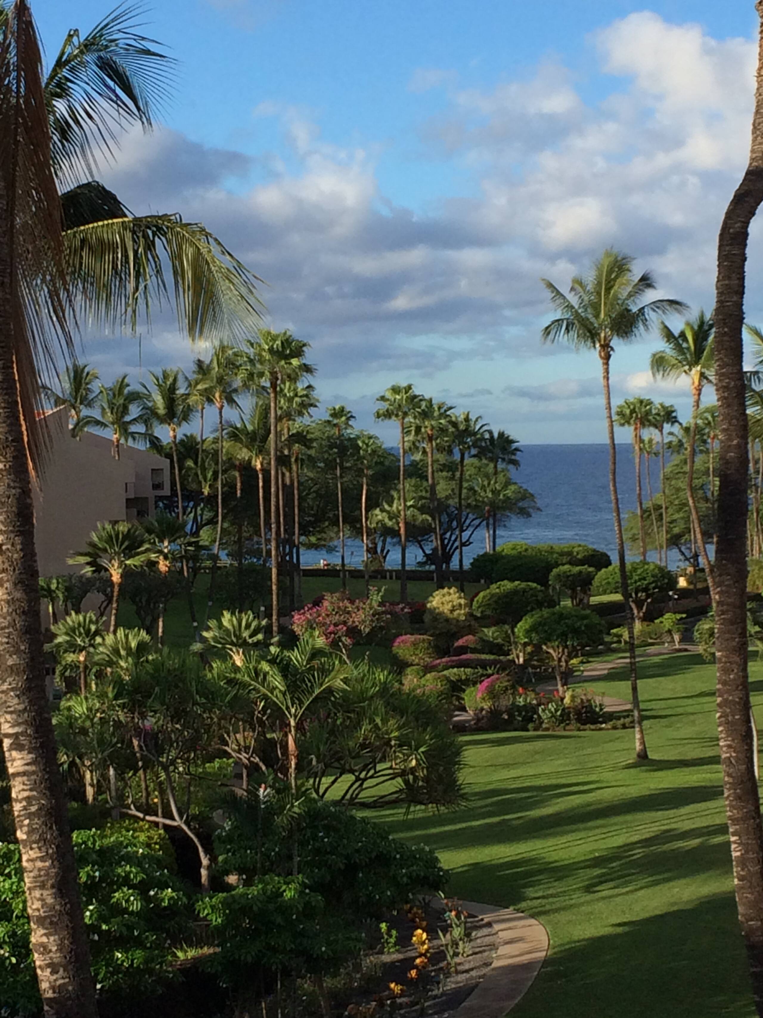 Condo in Kihei · ★4.91 · 2 bedrooms · 4 beds · 2 baths - Image 6