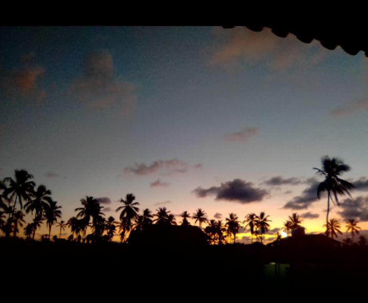 A tranquil sunset view is captured, featuring a silhouette of palm trees against a softly lit sky. Warm tones of orange and purple blend seamlessly as the day transitions to night, enhancing the serene atmosphere of the surroundings.