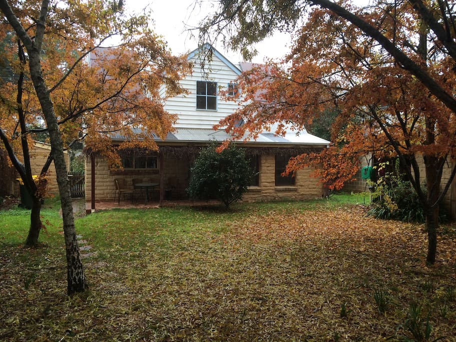 Autumn Backyard