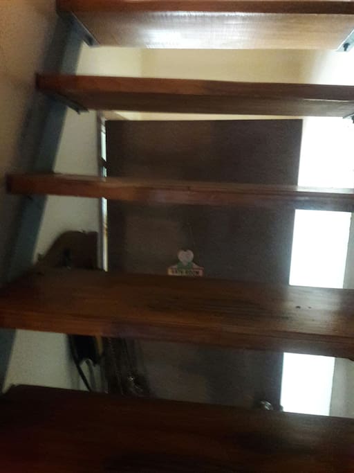escalera paraplanta lata