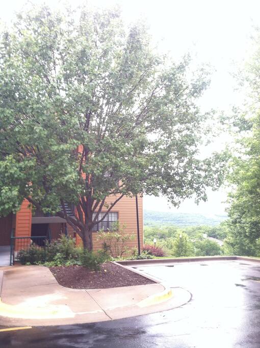 Gorgeous view!