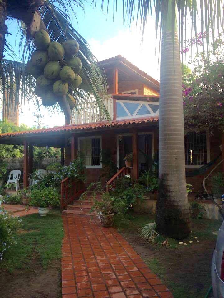 A charming house is nestled among greenery, showcasing a brick pathway leading to the entrance. Tropical plants and flowers surround the porch, while a cluster of coconuts hangs from a palm tree nearby. The two-story structure features wooden accents and a tiled roof.