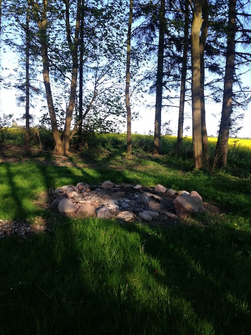 The Garden
