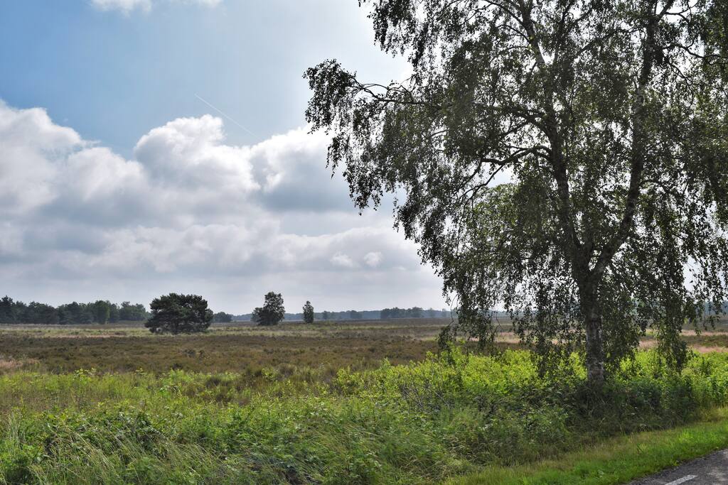 Het schitterende uitzicht over de heide