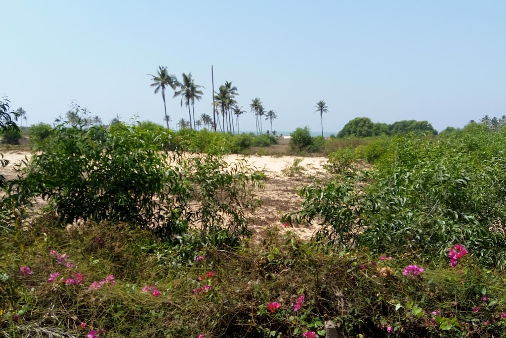 The Arabian sea and you