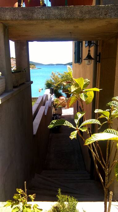 5 meters from the sea.
