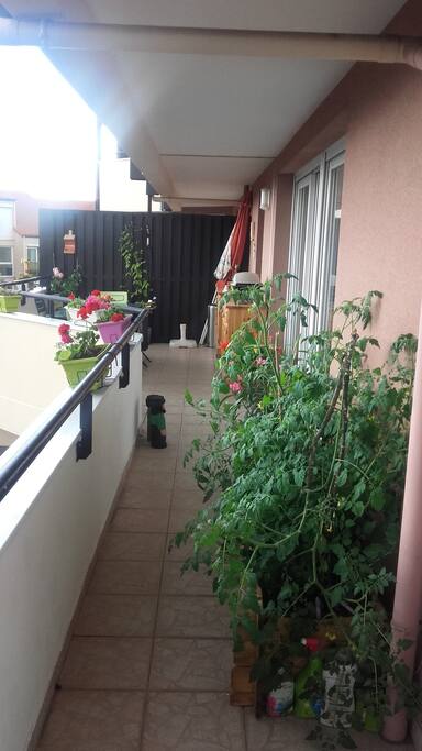 Terrasse