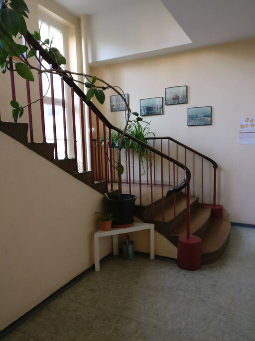 Entrance to flat