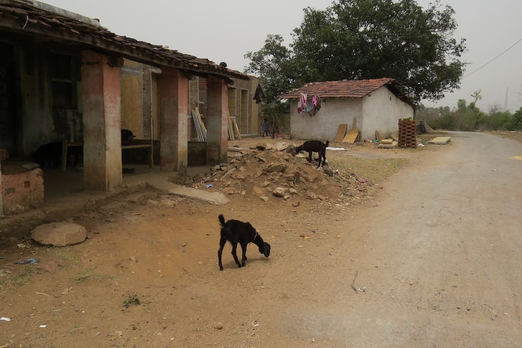 Village