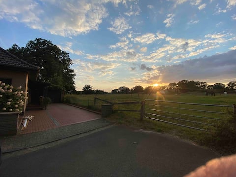 Beautiful apartment on a horse pasture