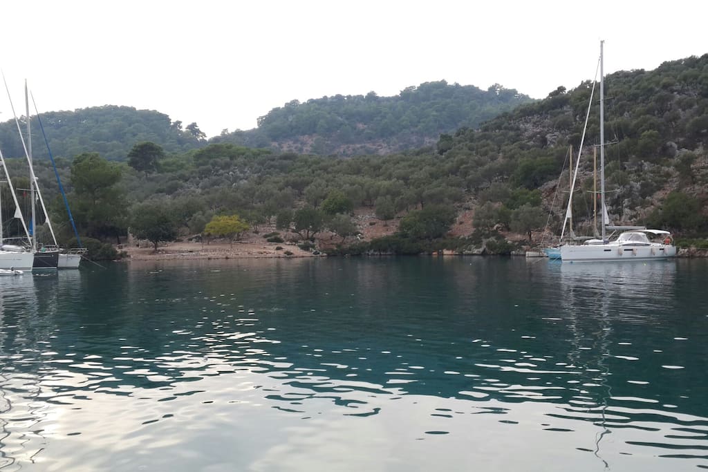 At a secluded bay....
