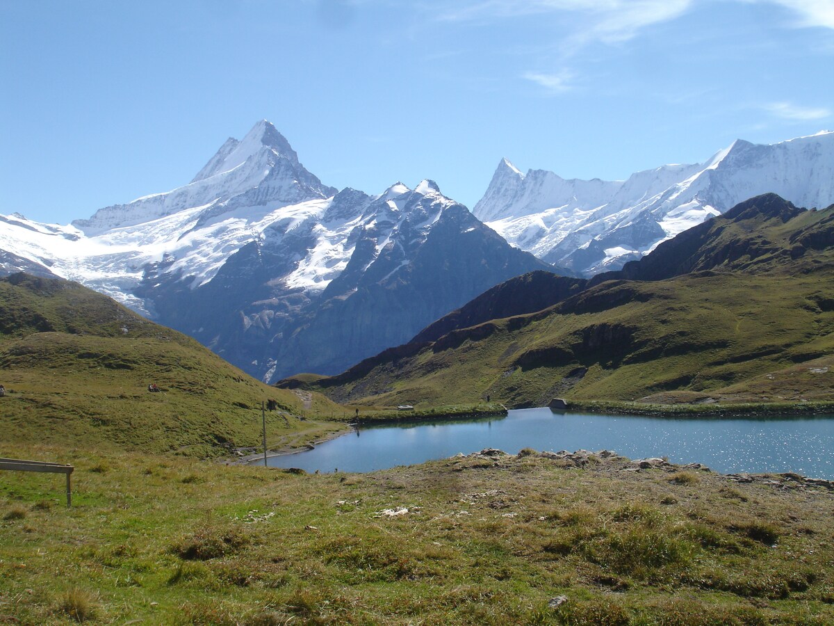 A serene mountain landscape is displayed, featuring snow-capped peaks and a clear, winding lake surrounded by lush greenery. The vibrant blue sky adds to the tranquility of the natural setting.