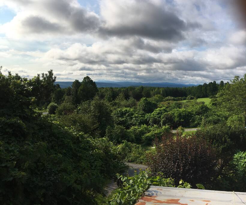 View from below the cottage