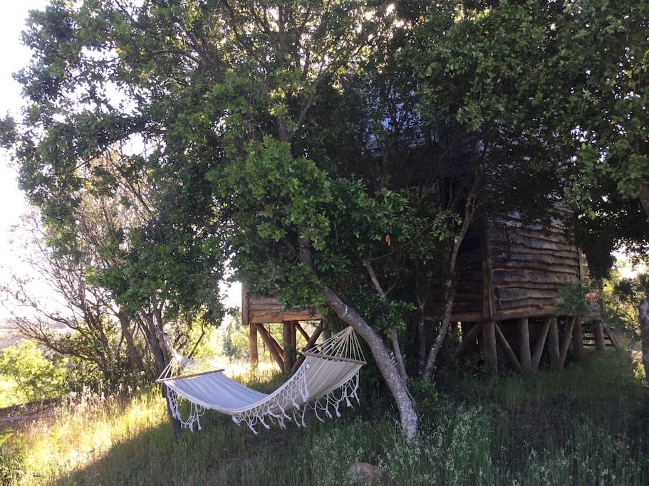 Your private hammock
