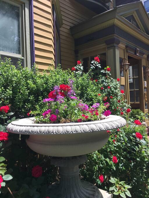 Front garden large planter