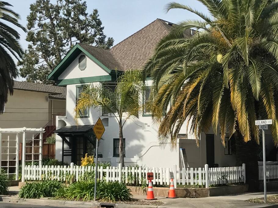 Street view of the palm trees out front