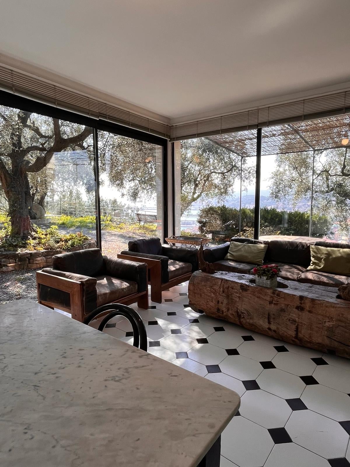 A sunlit sitting area is framed by large glass windows, offering views of olive trees and the surrounding landscape. Natural wood furniture provides seating, complemented by cushions. A patterned tile floor enhances the space, reflecting a harmonious blend of indoor comfort and outdoor scenery.