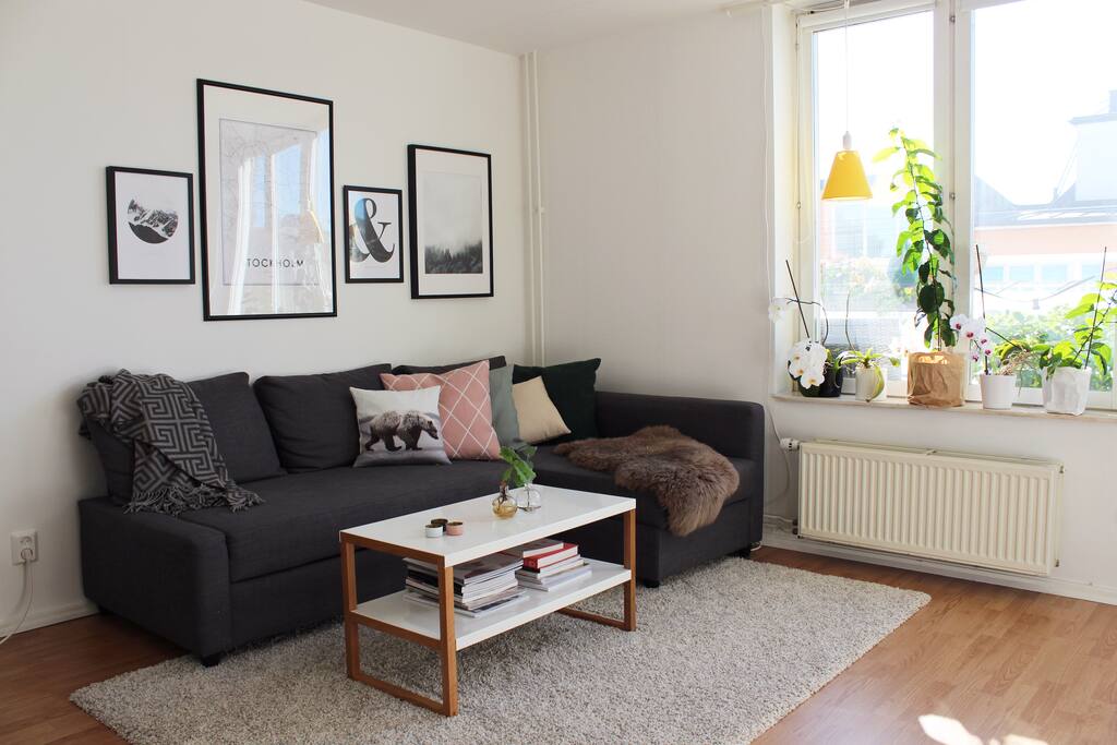 The room, with the sofa bed